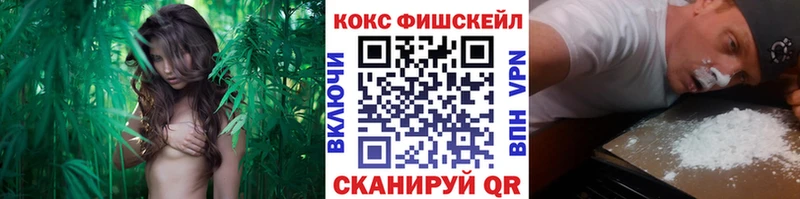 COCAIN Fish Scale  Кочубеевское 
