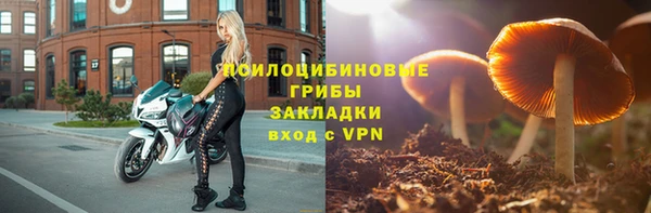 сатива Абдулино