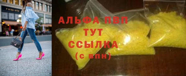 стафф Осинники