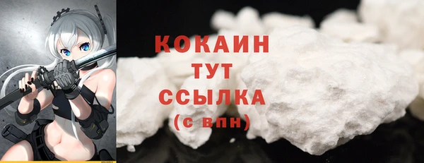 твердый Абаза