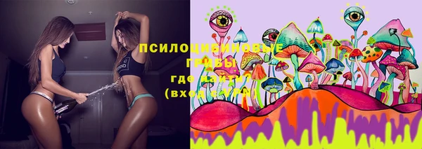 твердый Абаза